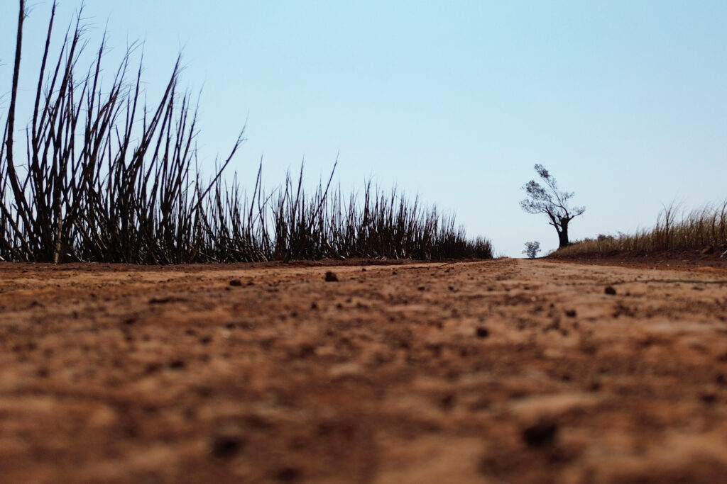 Incêndio florestal na região de Ribeirão Preto, em agosto de 24.
