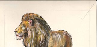 Jornalismo perde Paulo Caruso